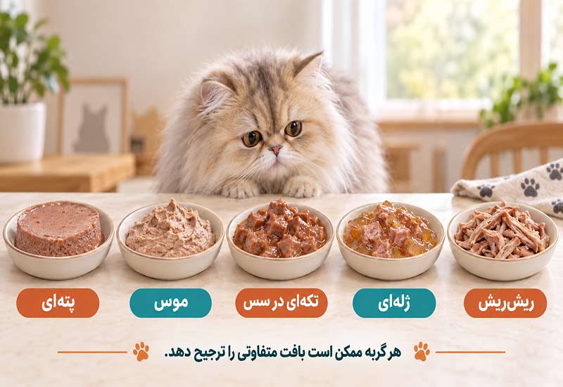 بافت-های-کنسرو-گر.به بافت-های-کنسرو-گر.به