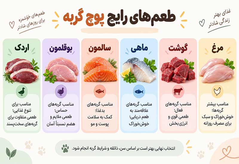 طعم-های-پوچ-گربه طعم-های-پوچ-گربه