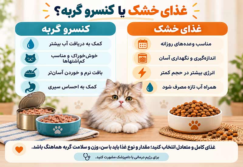 غذای-خشک-یا-کنسر.و-گربه غذای-خشک-یا-کنسر.و-گربه