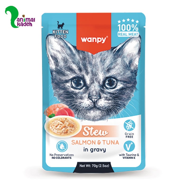 پوچ-بچه-گربه-انگلیسی-سالمون-و-تن پوچ-بچه-گربه-انگلیسی-سالمون-و-تن