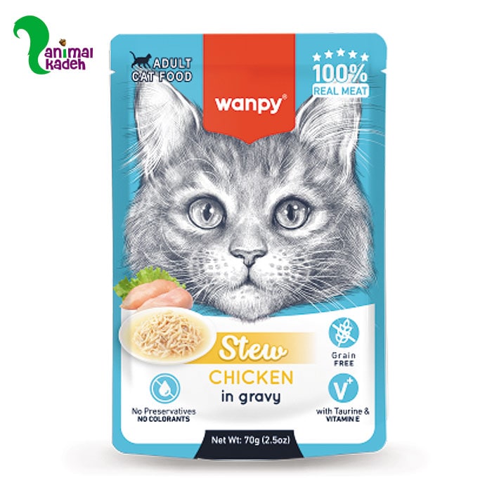 پوچ-گربه-ونپی-انگلیسی-مرغ پوچ-گربه-ونپی-انگلیسی-مرغ