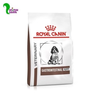 غذا خشک پاپی گسترو مخصوص مشکلات گوارشی