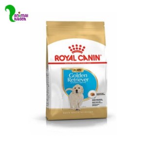 غذا خشک توله سگ نژاد گلدن رتریور رویال کنین