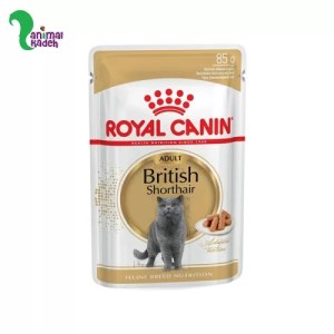 پوچ گربه رویال کنین بریتیش شورت هیر ادالت 85 گرمی پوچ گربه بالغ رویال کنین بریتیش 85 گرمی