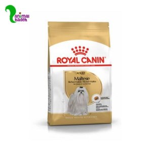 غذا خشک نژاد مالتیز برند رویال کنین
