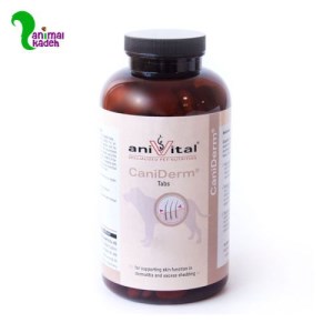 قرص ضد ریزش مو آنی ویتال