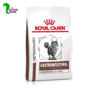 غذا خشک گربه با مشکلات گوارشی برند رویال کنین