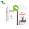 غذا خشک گربه بالغ رویال کنین مدل گاسترو اینتستینال مدریت کالری مخصوص مشکلات گوارشی 2 کیلویی
