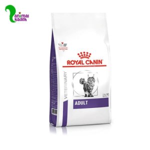 غذا خشک گربه ادالت یورینری اس او رویال کنین