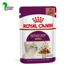 پوچ گربه بالغ حساس به بو