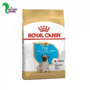 غذا خشک پاگ زیر یک سال رویال کنین