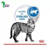 پوچ گربه رویال کنین ایندور مخصوص عقیم شده های داخل خانه 85 گرمی