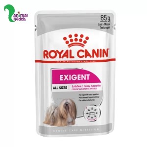 پوچ سگ های بد غذا نژاد کوچک برند رویال کنین