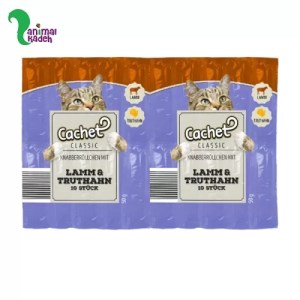 تشویقی گربه مدادی کچت در 4 طعم