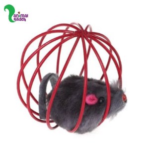 اسباب بازی موش در قفس