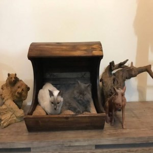 جای خواب سگ و گربه چوبی 