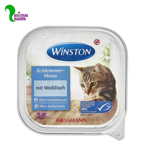 غذای تر وینستون مخصوص گربه با طعم ماهی
