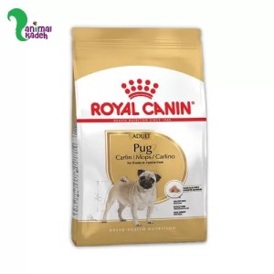غذا خشک سگ پاگ ادالت رویال کنین