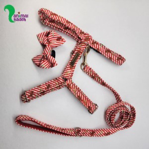 قلاده بدنی طبی