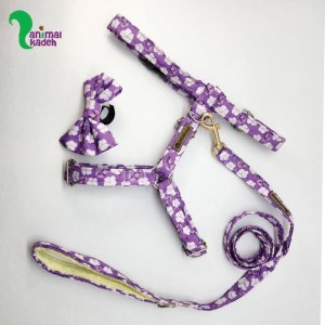 قلاده بدنی طبی