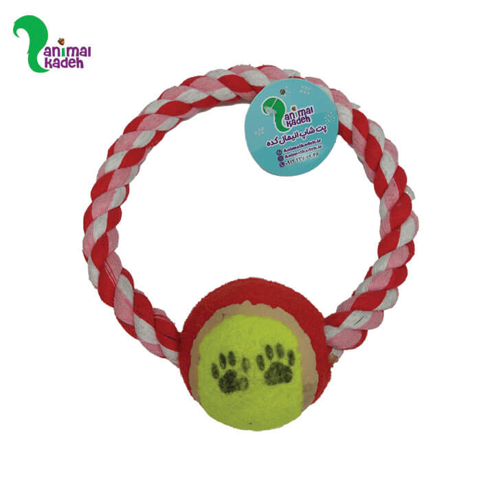 اسباب بازی حلقه و توپ برای سگ و گربه