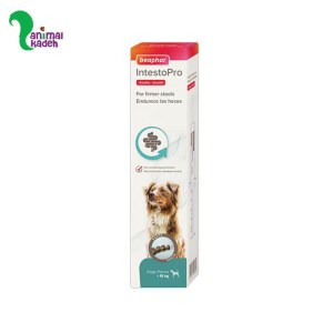 خمیر بیفار برای مشکلات گوارشی سگ ها