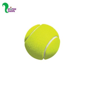 اسباب بازی توپ تنیس برای ایجاد تحرک و سرگرمی سگ و گربه