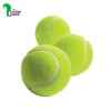 اسباب بازی توپ تنیس مخصوص سگ و گربه