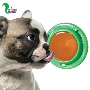 تشویقی سگ مدل آبنبات دیواری 50 گرم