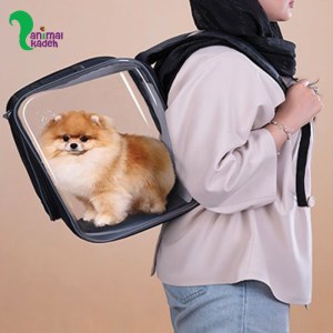 کیف کوله پنجره ای دو طرفه مخصوص سگهای نژاد کوچک و گربه ها (طوسی و مشکی)