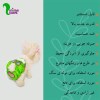 شورتکس مخصوص سگ و گربه ماده سایز اسمال (سبز)