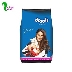 غذا خشک بچه گربه کیتن برند درولز 1.2 کیلویی