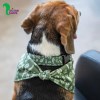 دستمال گردن دو رو مخصوص سگها طرح کاکتوس برند bee (سایز کوچک)