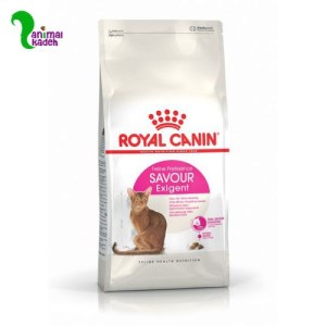 غذا خشک گربه بالغ رویال کنین سیور (ساور) اگزیجنت در 4 وزن غذا خشک گربه بالغ رویال کنین سیور (ساور) اگزیجنت در 4 وزن