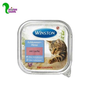 ووم وینستون گربه با طعم ماهی قزل آلا 100 گرمی