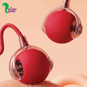 اسباب بازی توپ هوشمند دم طنابی شارژری