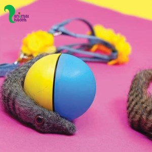 اسباب بازی توپ متحرک غلتان مدل دم سمور باتری خور