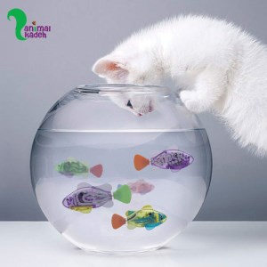 اسباب بازی ماهی رنگی رباتیک مخصوص داخل آب