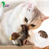 اسباب بازی گربه مدل پرنده بال دار موزیکال شارژی
