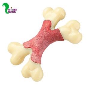 اسباب بازی دنتال استخوان دو سر استایل