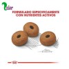 غذا خشک سگ بالغ رویال کنین مدل مکسی لایت ویت کر رژیمی (12 کیلویی)