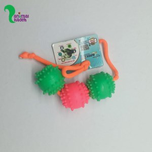 اسباب بازی دندانی سگ بند دار با سه توپ