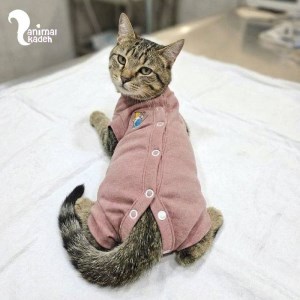 لباس ریکاوری و جراحی سگ و گربه لباس ریکاوری و جراحی سگ و گربه
