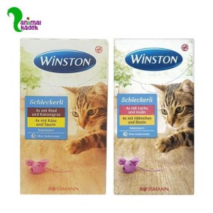 بستنی گربه برند وینستون در 5 طعم بستنی گربه برند وینستون در 5 طعم