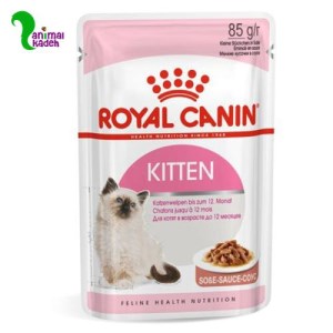 پوچ بچه گربه رویال کنین