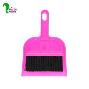 جارو خاک انداز فانتزی 