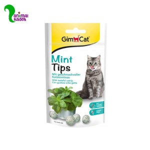 قرص نعنا و کت نیپ گربه جیم کت ۴۰ گرمی