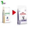 غذا خشک گربه دنتال رویال کنین dental royal canin (1.5 کیلویی)