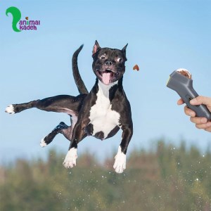 اسباب بازی تفنگ شوتر تشویقی پرتاب کننده مخصوص سگ و گربه سایز کوچک طوسی