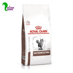 غذا خشک گربه دارای شکلات گوارشی رویال کنین